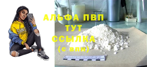 твердый Арсеньев