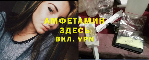 твердый Арсеньев