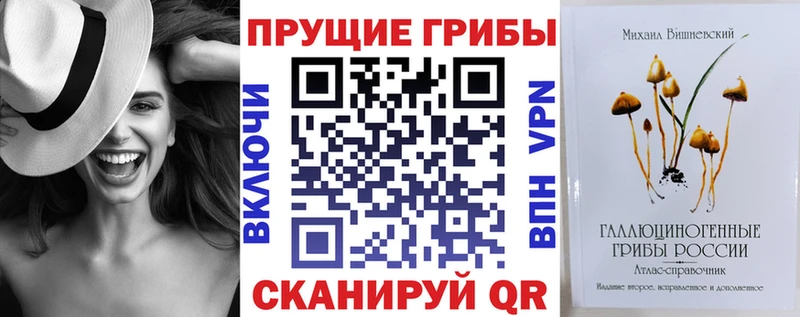 даркнет как зайти  Пыталово  Псилоцибиновые грибы Cubensis 